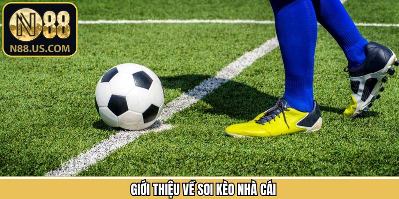 Khái quát về việc dự đoán kèo nhà cái