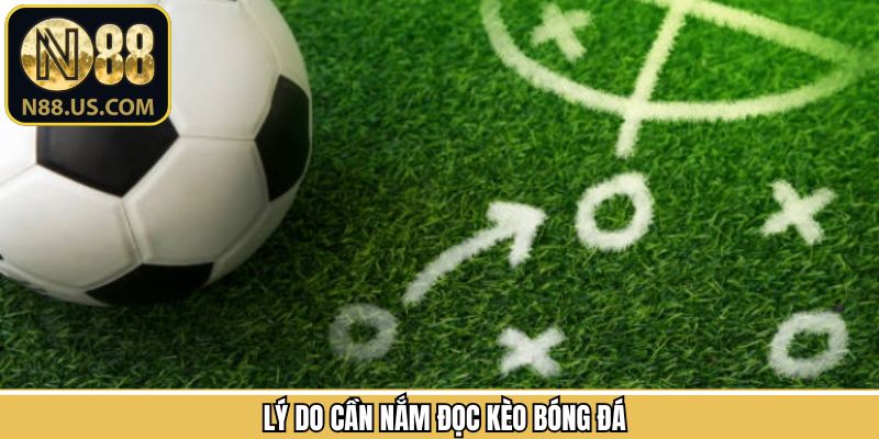 Lý do nên hiểu rõ cách cược kèo bóng đá