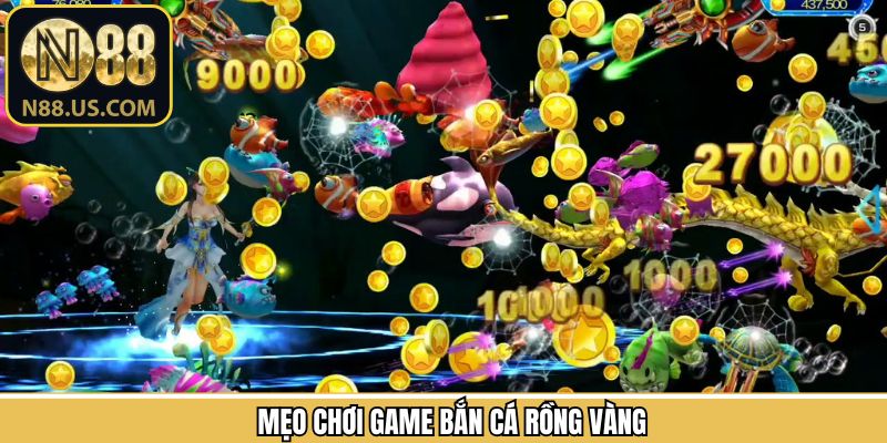 Mẹo chinh phục đại dương khi săn ngư