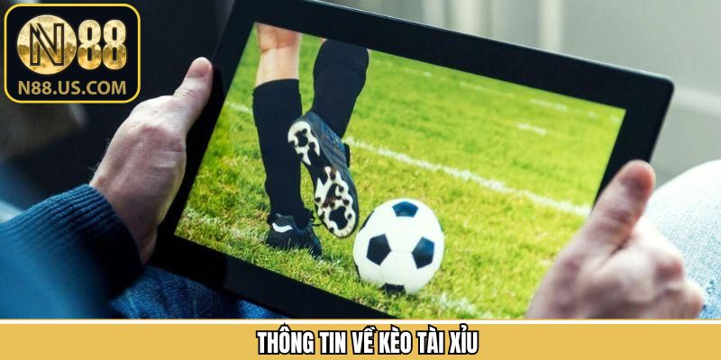 Vài điều cơ bản cần tìm hiểu về cược tài xỉu